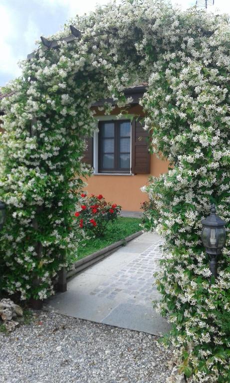 奥莱焦阿古扎度假农庄的房子前面一大片花