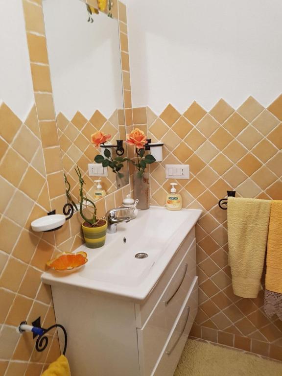 阿尔扎凯纳Appartamento " CENTRAL"的一间带水槽和镜子的浴室