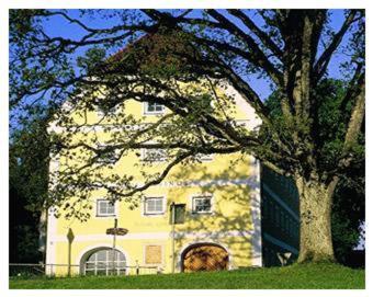 西奥-西布鲁克霍斯鲁菲奴斯姆克劳斯特西恩酒店的前面有树的黄色建筑
