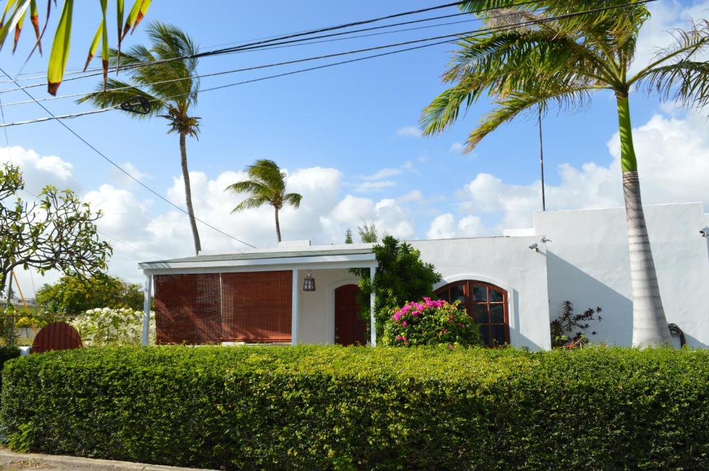 基督教堂市Frangipani Apartment的棕榈树和灌木丛的白色房子