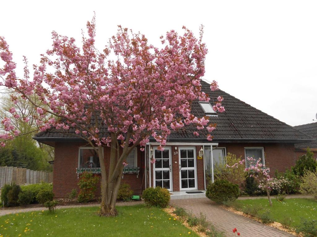 哈夫克鲁格Sunhaus Koch的一座房子前面的粉红色花卉