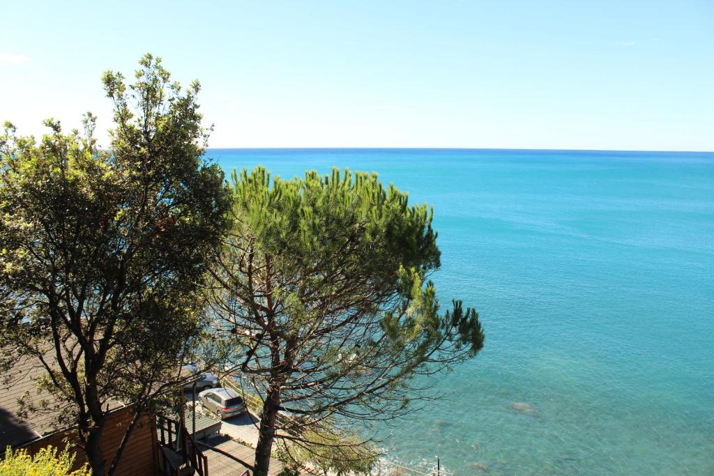 莫内利亚Il Rospo的海滩上两棵树,享有大海美景