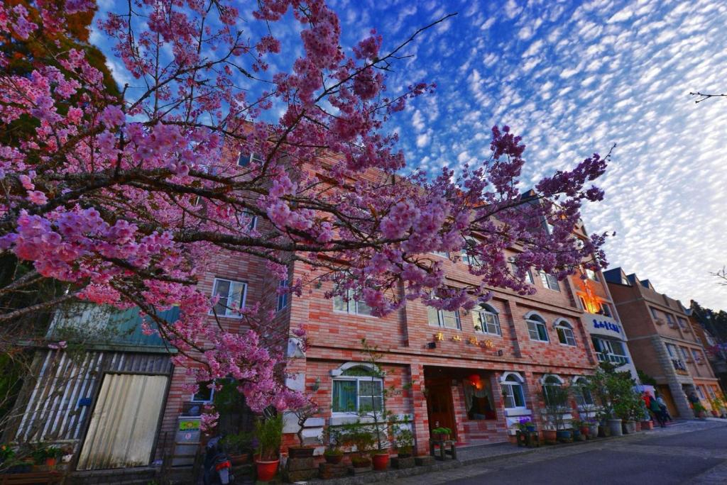 中正青山别馆的一座建筑物前有粉红色花的树