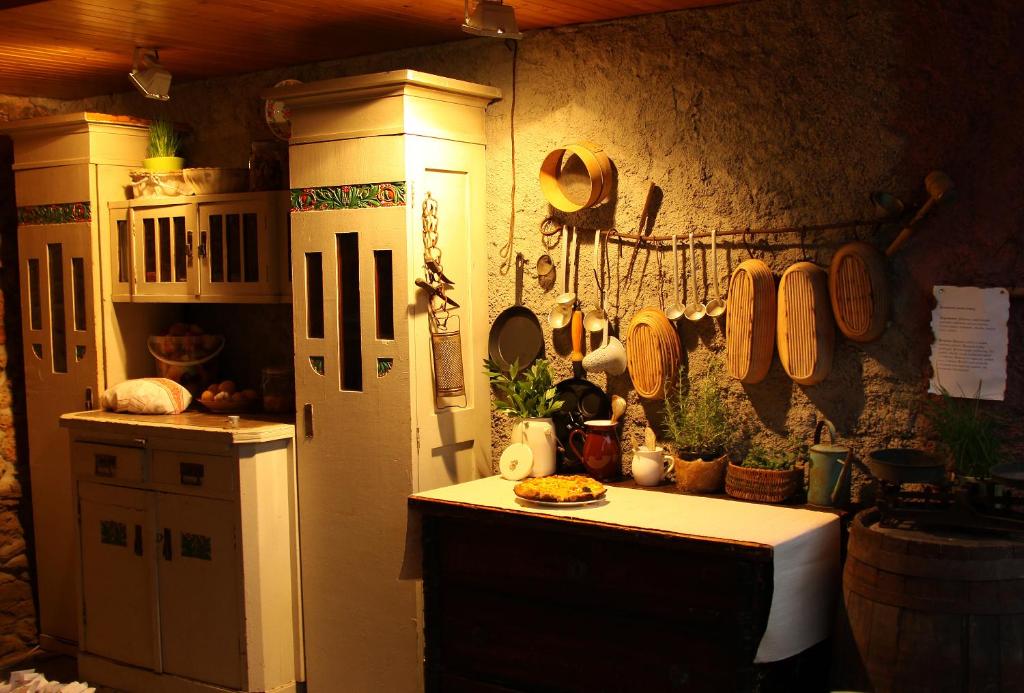 Slovenská ľupčaMníchov dvor的厨房配有冰箱和带餐具的柜台