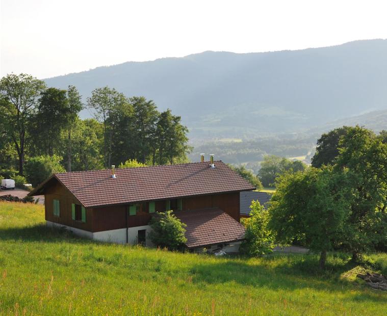 Villard-sur-Boëge绿色小屋旅馆的绿色田野顶部的房子