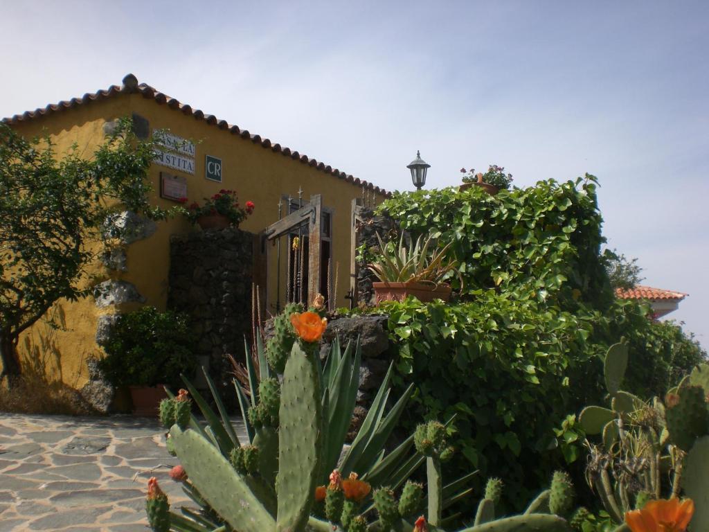 吉亚德伊索拉Casa la Vistita的前面有植物和花的建筑