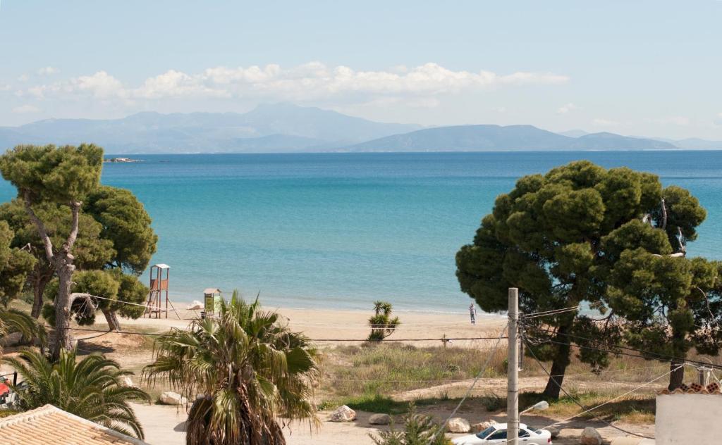 阿特米达Royal Artemis beach, Athens, Airport的一片树木繁茂的海滩,一片大海