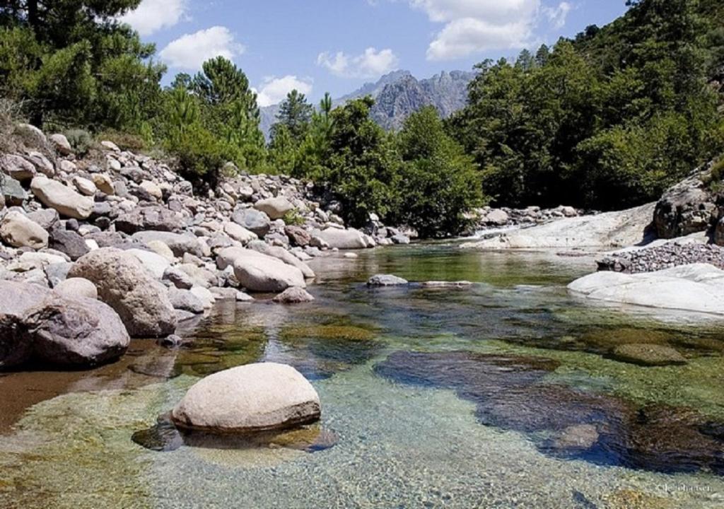 孔卡APPT CONCA-6pers-clim-au calme的山上有岩石和树木的河流