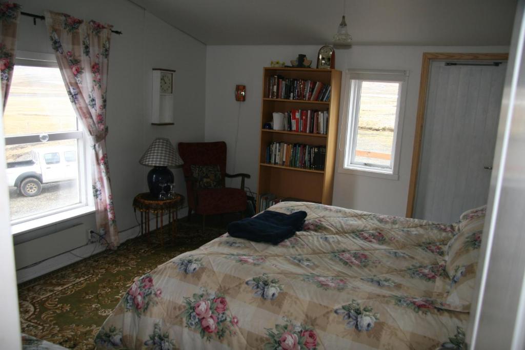 布扎达吕尔Seljaland ferðaþjónusta的一间卧室设有一张床和一个书架