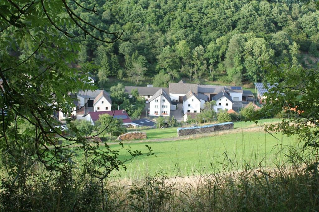 HerschbroichFerienhaus im Nürburgring的绿地中树木繁茂的一群房子