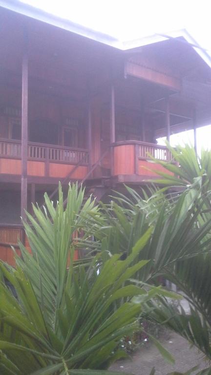 布纳肯Sunset Guest House & Bar的一群棕榈树在一座建筑前