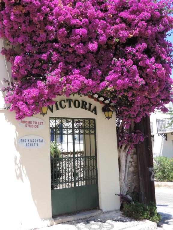 斯派赛斯维多利亚一室公寓的一座建筑上一扇带紫色花朵的门