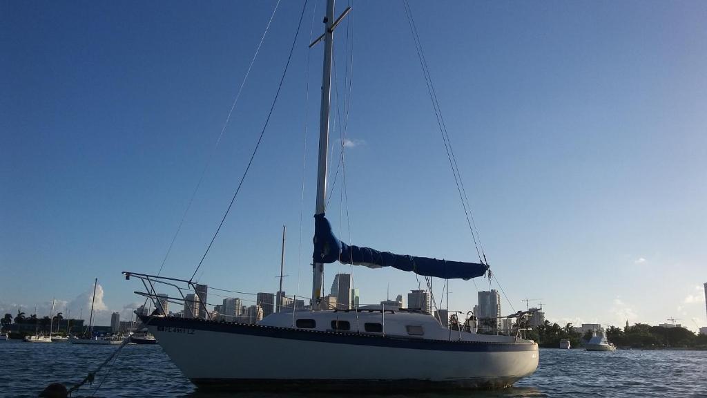 迈阿密典雅帆船30号船屋的水中船,城市背景