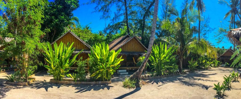 丽贝岛弗拉日出潜水度假酒店的棕榈树海滩上的度假村