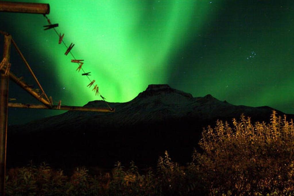 SkagaströndIðavellir Guesthouse的一群鸟在极光下飞翔