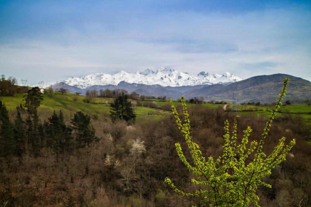 坎加斯-德奥尼斯Hotel Montañas de Covadonga的远处的山脉,积雪覆盖的山脉