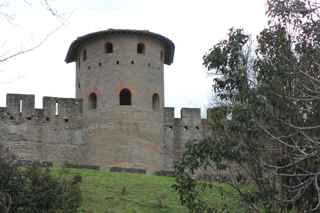卡尔卡松Gîte les 3 tours 1e étage的一座大砖砌城堡,山上有塔楼