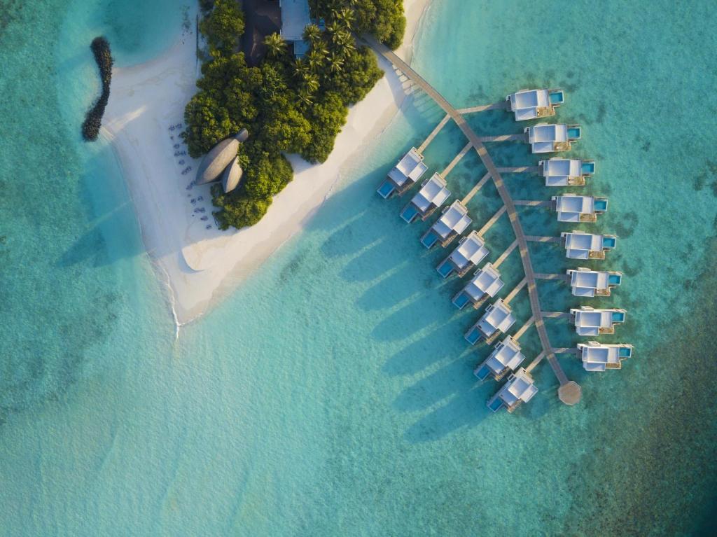 鲁阿环礁Dhigali Maldives - A Premium All-Inclusive Resort的海洋岛屿的空中景观