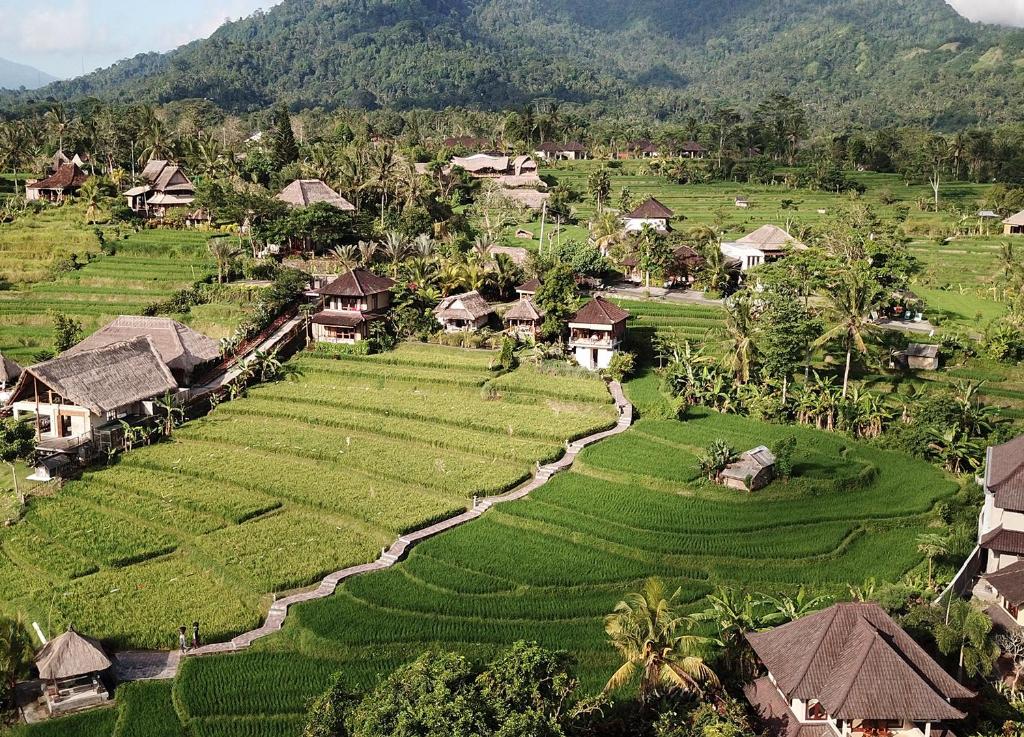 希德门安邦旅馆的享有稻田和房屋的村庄的空中景致