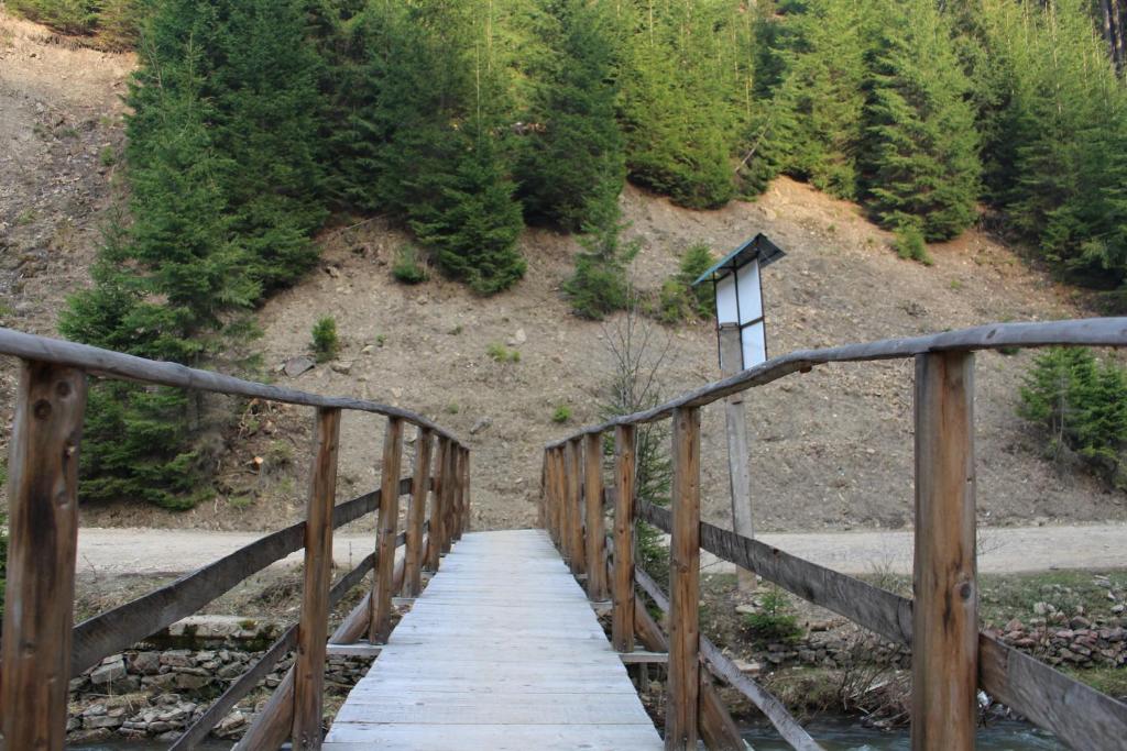 塞尼维斯卡波利亚纳Верховинський водограй的森林中一条小溪上的木桥