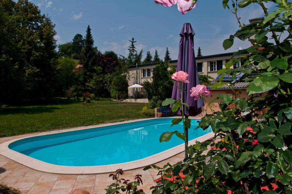 巴特格莱兴贝格兴登堡乡村别墅的一个带遮阳伞和鲜花的庭院内的游泳池