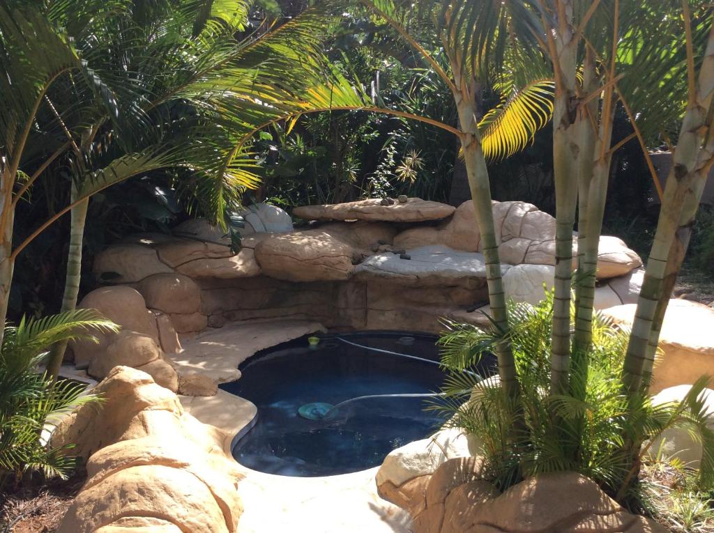 绍斯布鲁姆Tropical Paradise的一个带岩石墙和棕榈树的游泳池