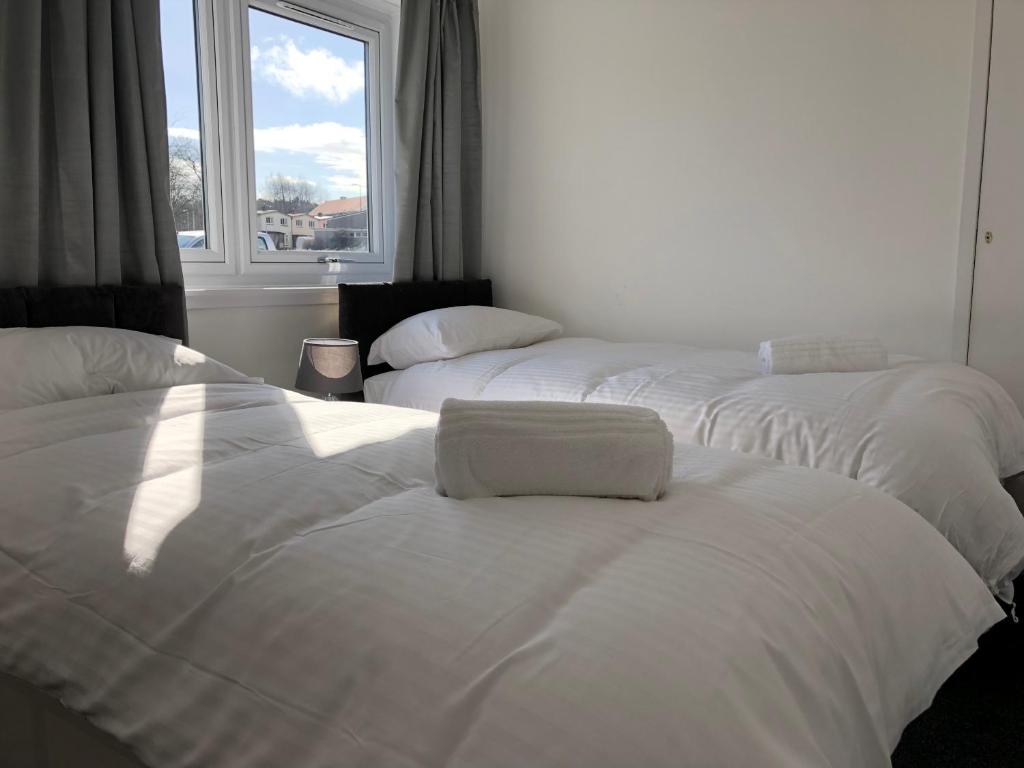 格伦罗西斯Glenrothes Central Apartments - One bedroom Apartment的带窗户的客房内的3张白色床