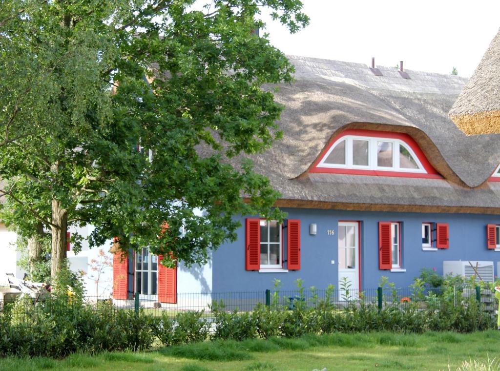 格洛韦Strandhaus Lucky, Sauna, Garten, Kamin, strandnah的蓝色房子,带茅草屋顶和红色百叶窗