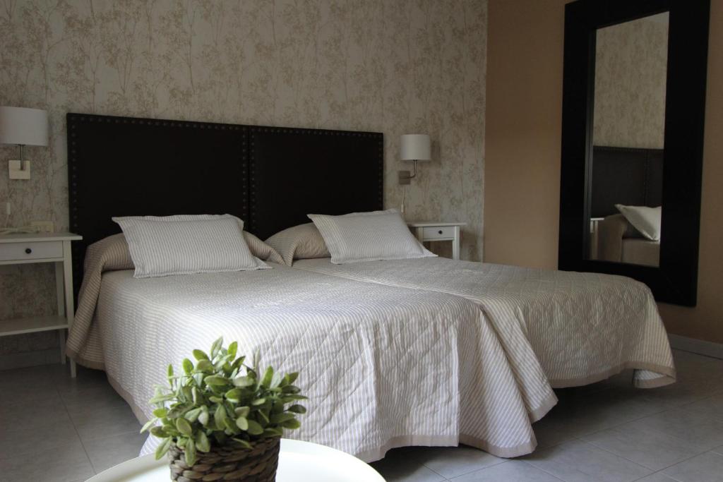 阿尔苏阿Viviendas Uso Turístico Arzúa的一间卧室配有一张带白色床单和镜子的大床
