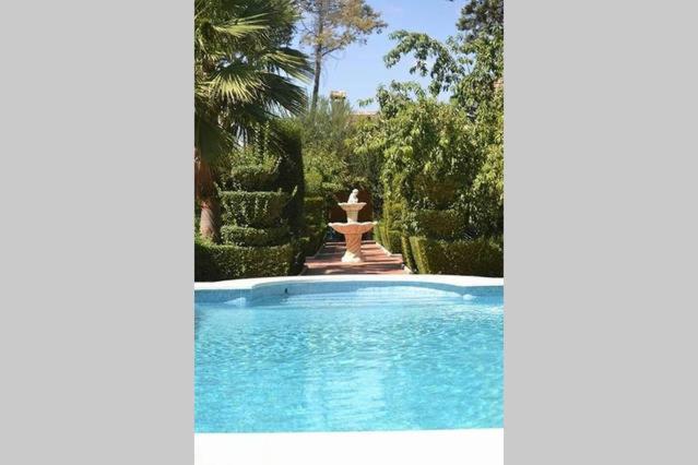 安特克拉Casa Rural El Conde的庭院中一个带喷泉的游泳池