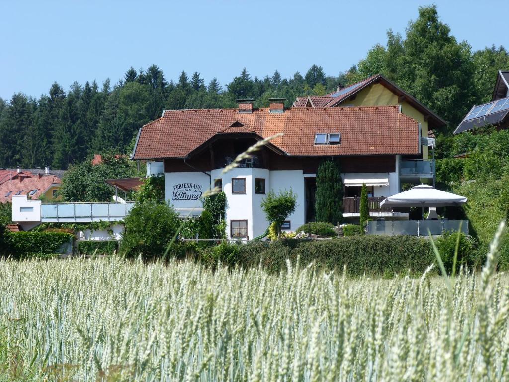 沃尔特湖畔韦尔登Ferienhaus Blümel inkl. freier Strandbadeintritt的前面有田地的房子