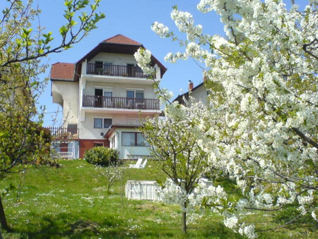 赫维兹Apartman Berki的一座山丘上的建筑,前面有开花的树木