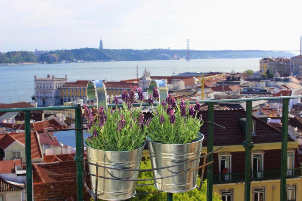 里斯本Casa Miratejo - Downtown的阳台上的两株盆栽植物俯瞰着城市