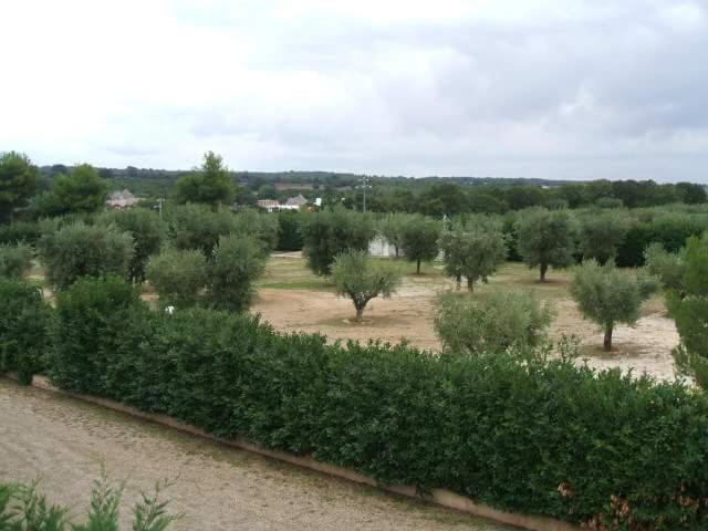马丁纳弗兰卡Locazione turistica Green Park的田野里满是树木和灌木的田野