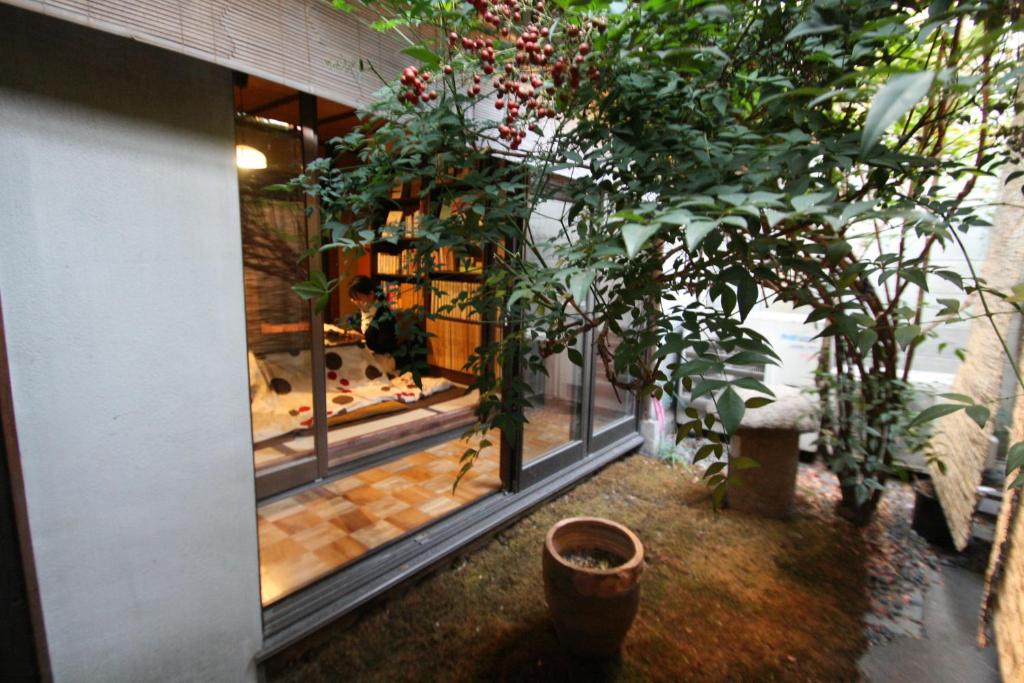 京都家东山旅舍的一间设有植物大窗户的房间
