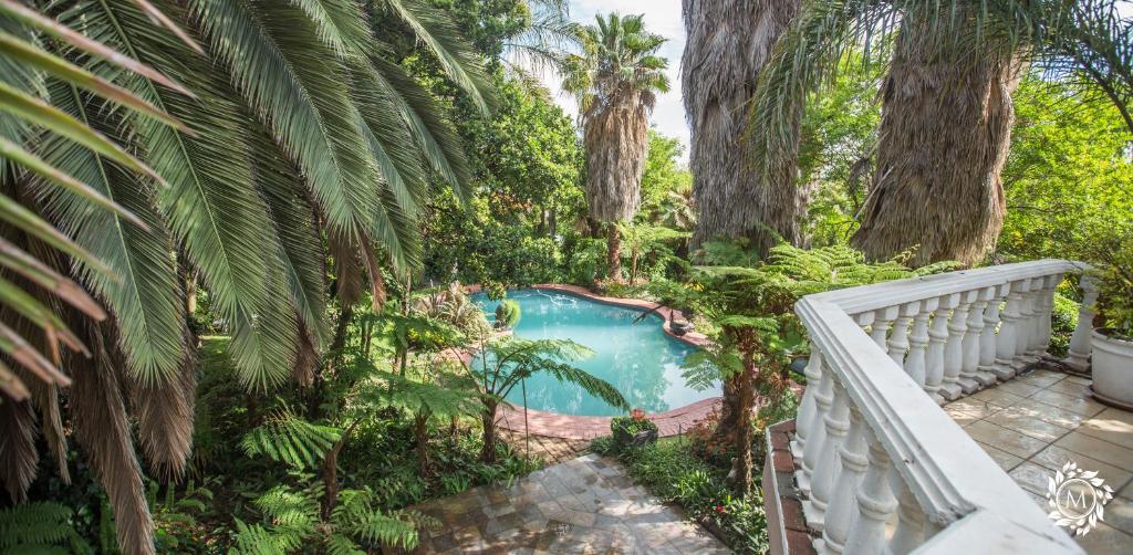 拉塞利亚Meraki Country Manor的棕榈树花园内的游泳池
