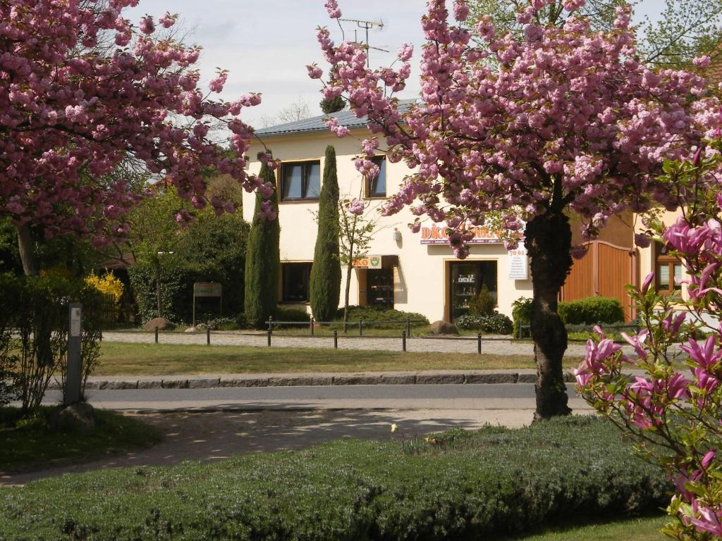 吕本Pension "Am Schloß"的街道前有粉红色花卉的房子