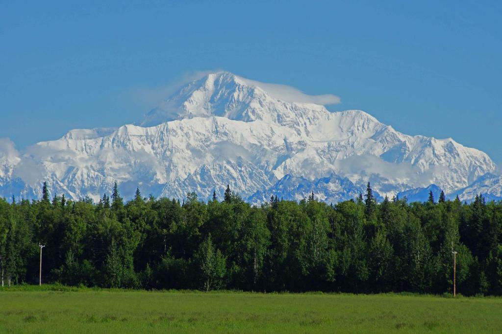 Trapper CreekMcKinley View B&B的山地和树木前的雪覆盖的山