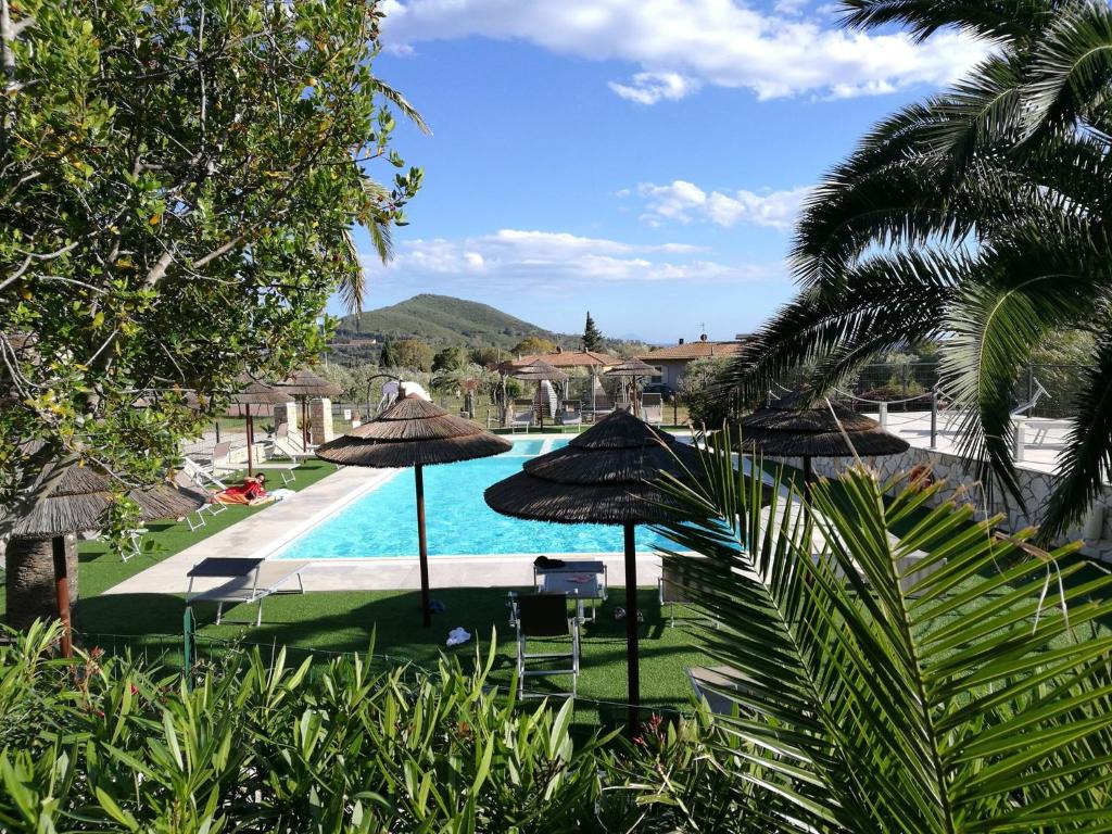 拉科纳Residence il Mandorlo的享有带遮阳伞和椅子的游泳池的景色