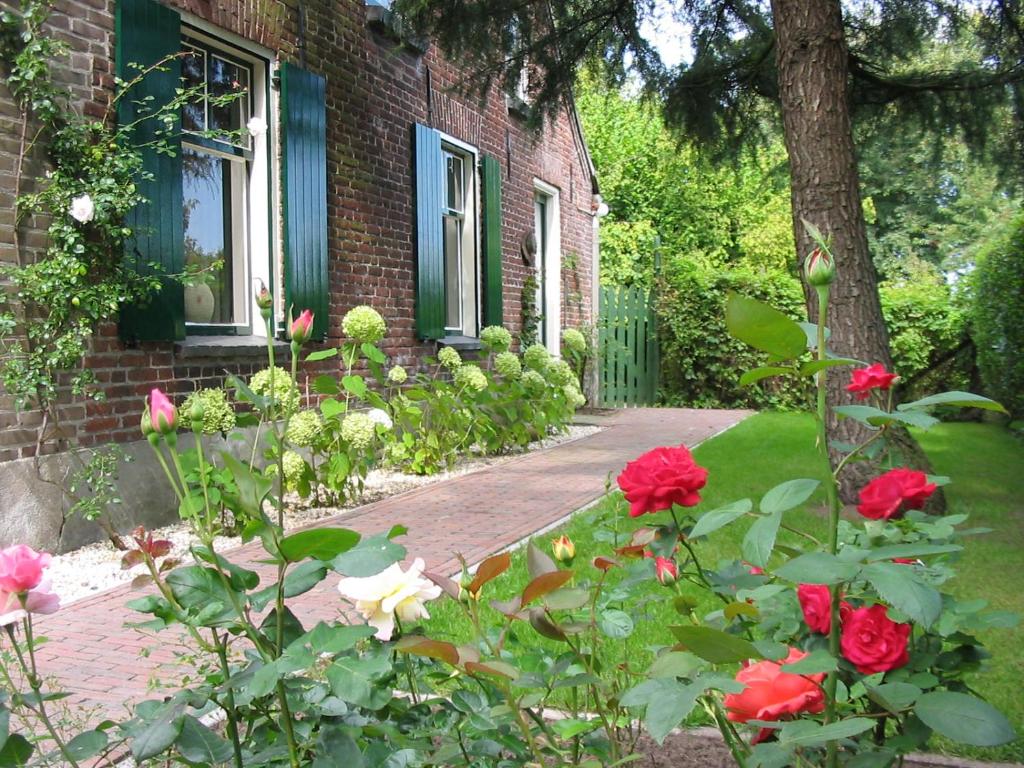 HerpenDe Erfdijk的玫瑰园的砖屋