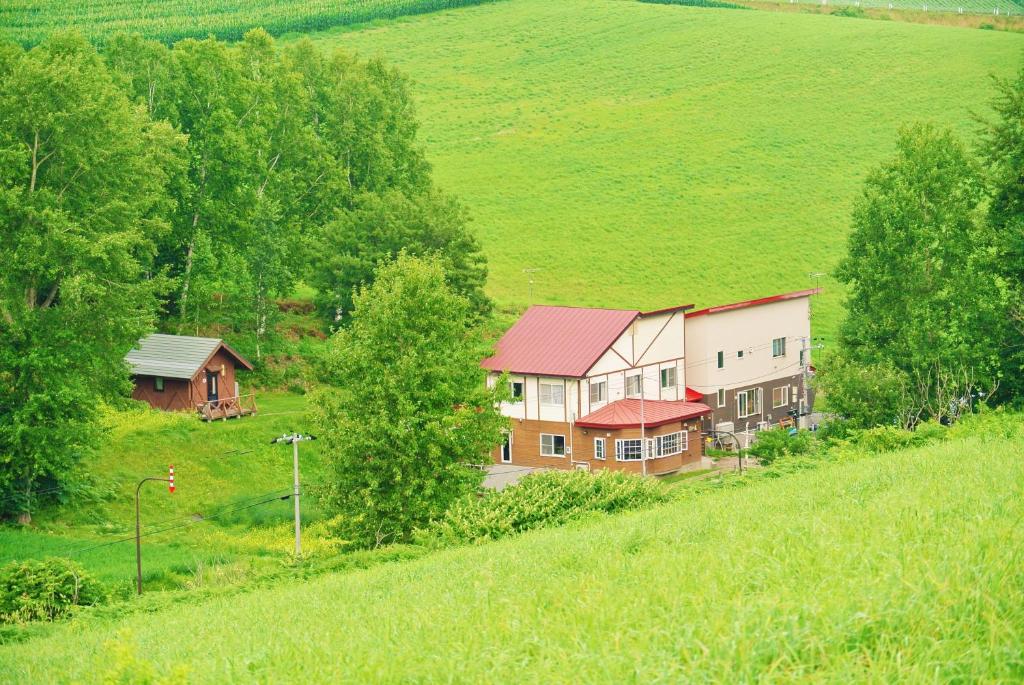 美瑛町惠雪笑颜绽放住宿加早餐旅馆的绿色田野上山丘上的房屋