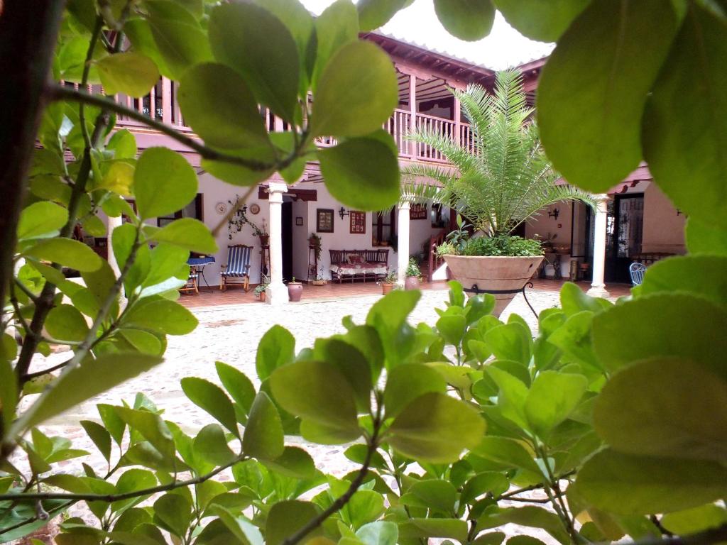阿尔玛格鲁Hotel Rural Posada Los Caballeros的庭院景,庭院内有植物
