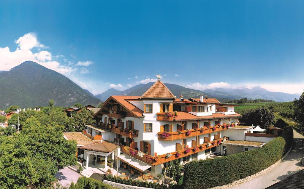 纳兹-夏韦斯哈勃特肖夫酒店的山地建筑的背景图象