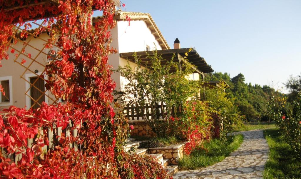 雅莎尼奥anerada / sun nature holidays的旁边是红叶的房子