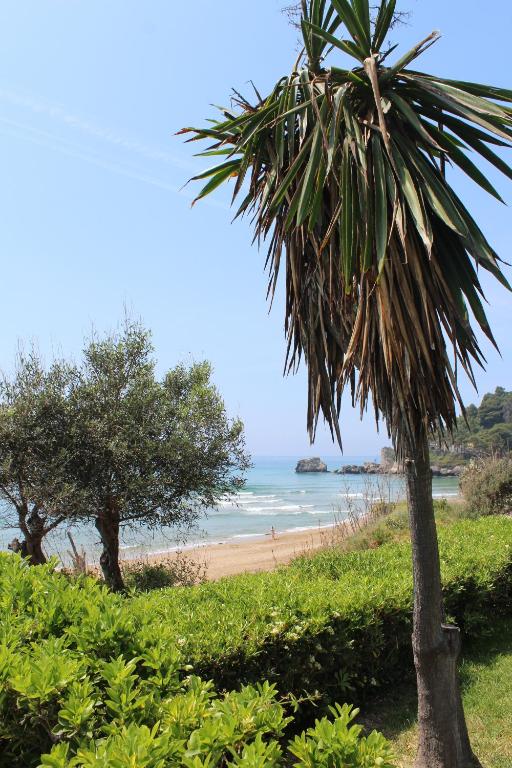 格利法达Glyfada Gorgona Apartments的棕榈树坐在海滩上