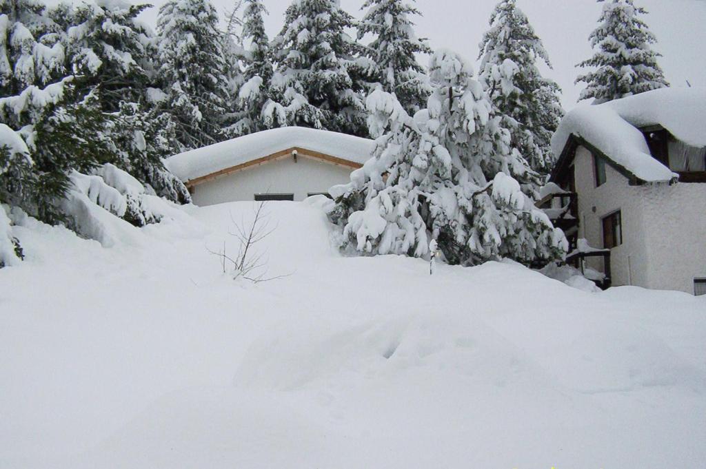 圣卡洛斯-德巴里洛切Cabañas Don Pepe的房子前面的一堆雪