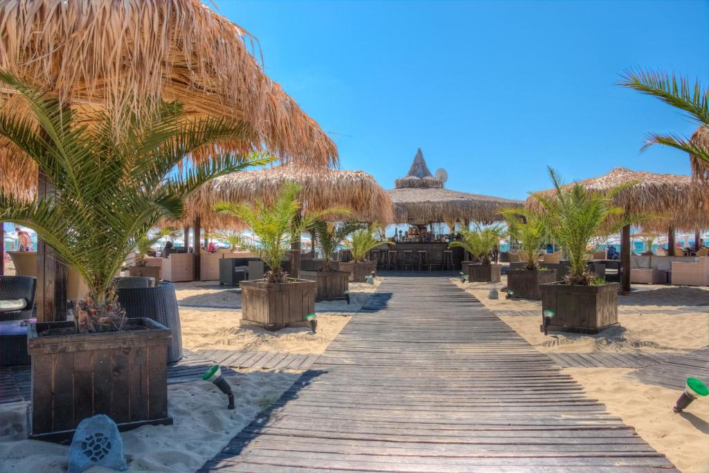 阳光海滩铂金赌场酒店的棕榈树海滩上的木板路和度假胜地