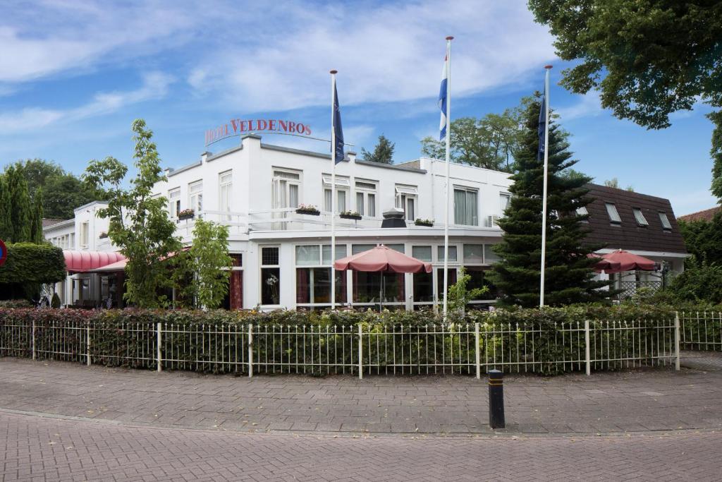 宁斯佩特弗莱彻酒店的上面有两面旗帜的白色建筑