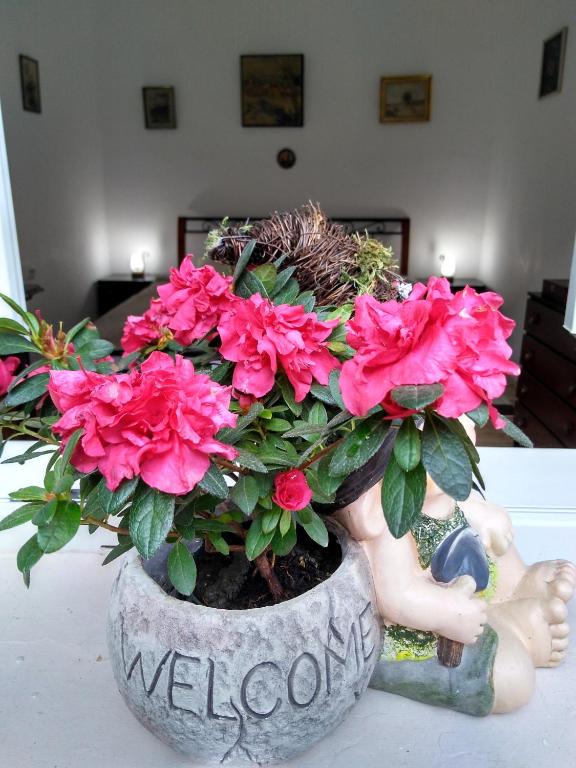 布拉索夫Mama Brasov的桌上装满粉红色花的盆