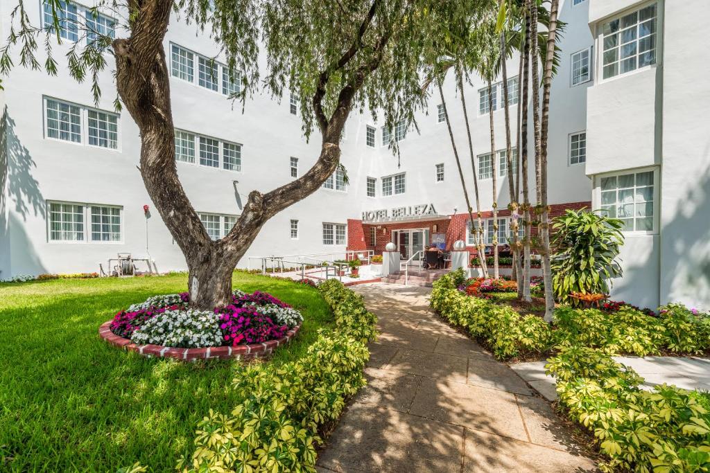 迈阿密海滩美人酒店的建筑物前花床上的树
